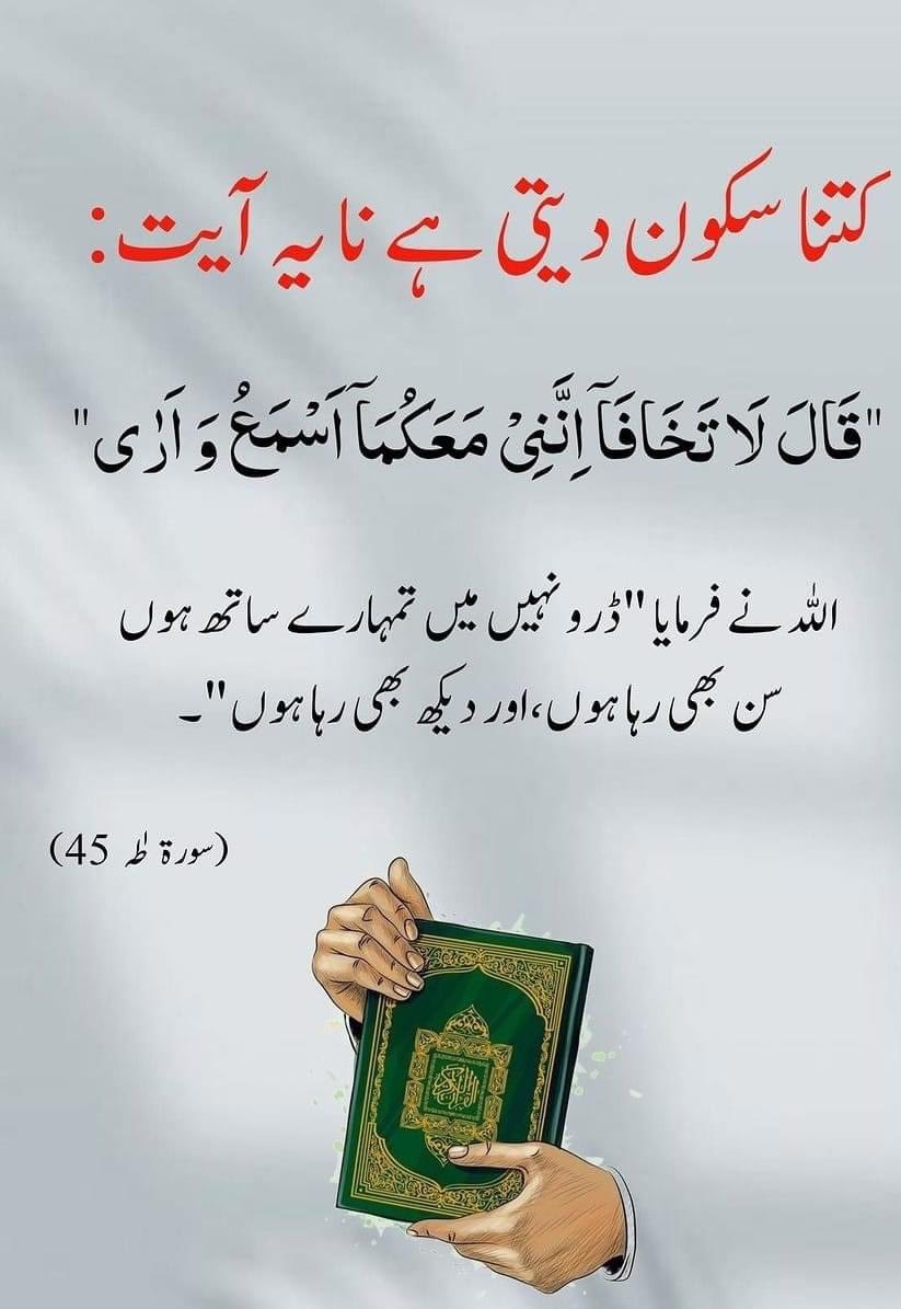 MAHMOODبھائیE tweet media