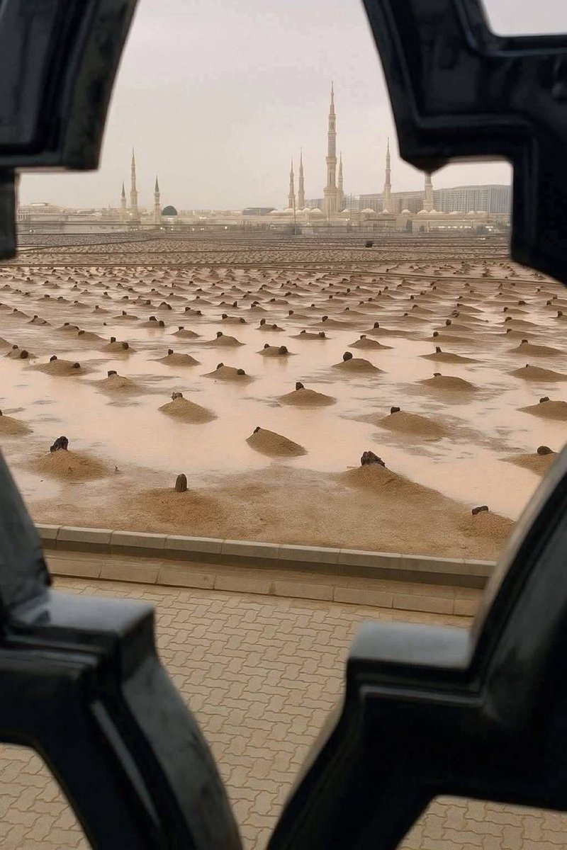 صغيرتي tweet media