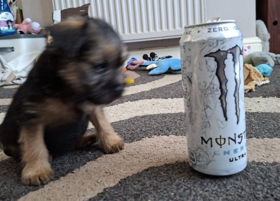 Reginald Barkley - sekretary of da social club! tweet media