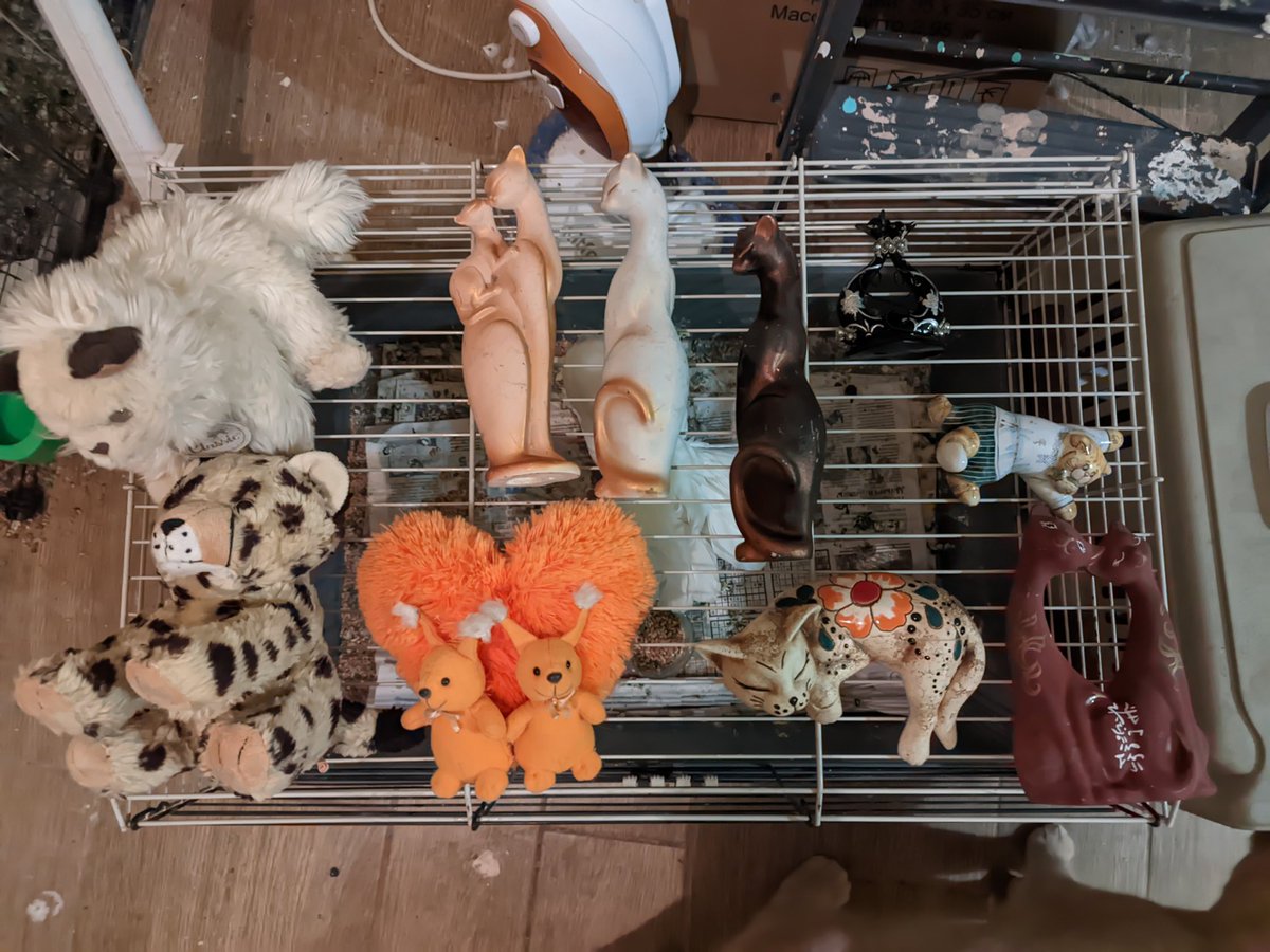 enflöra ☮️ #НетВойне #NoToWar #NãoÀGuerra tweet media