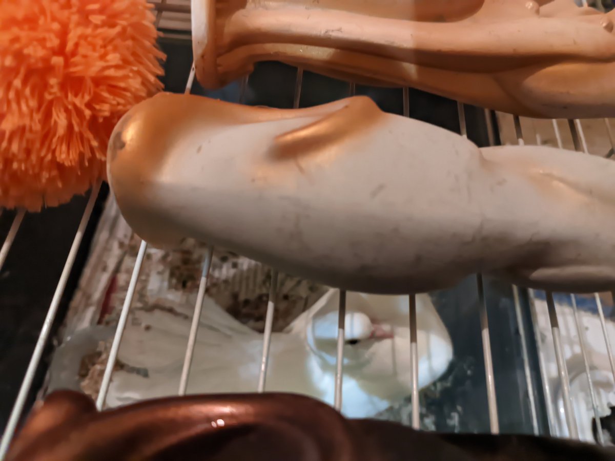 enflöra ☮️ #НетВойне #NoToWar #NãoÀGuerra tweet media