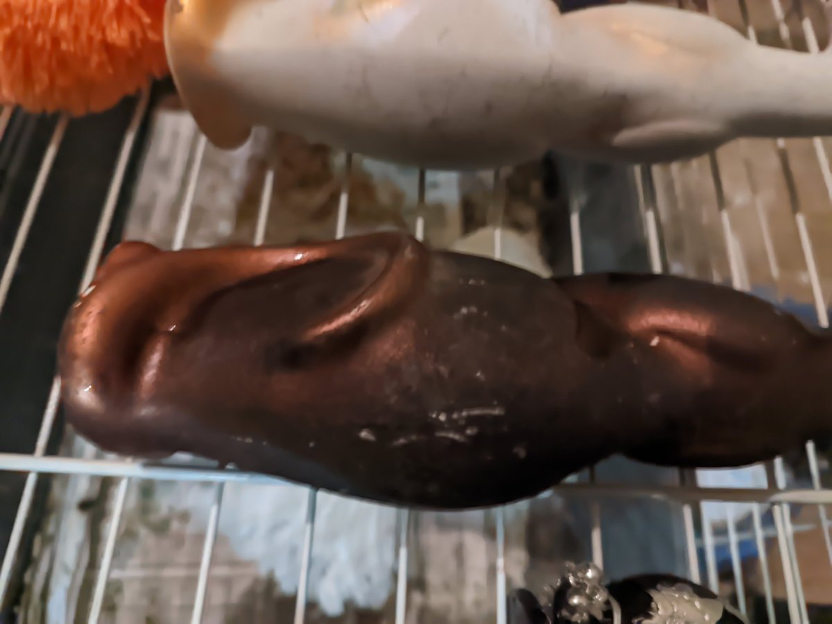 enflöra ☮️ #НетВойне #NoToWar #NãoÀGuerra tweet media