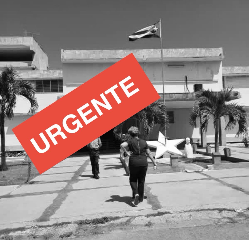 davidholamigente tweet media