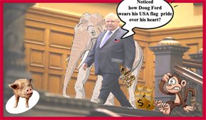 Ms Torontonian 🇨🇦👠🏒🏑⚽️🏀🏈 tweet media