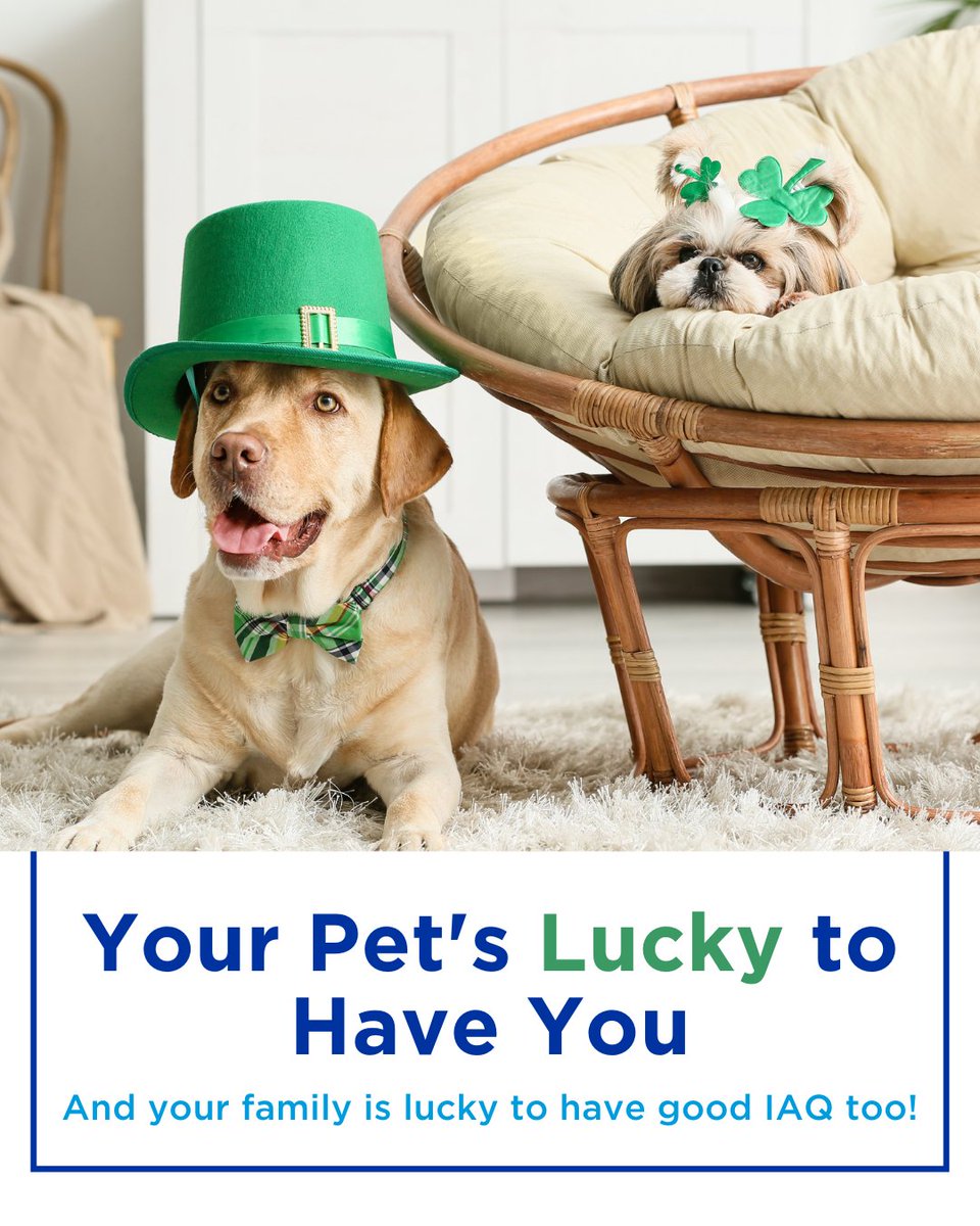 ASVspokane's tweet photo. Lucky you - It’s clean air season! 🍀
Pet dander, odors, and allergens can sneak into your home, but our indoor air quality services help keep it fresh and comfortable.
Breathe easy this St. Patrick’s Day with Aire Serv!
#AireServ #Neighborly #HVACMaintenance #HVAC #StPatricksDay https://t.co/mIKt5cZyUw