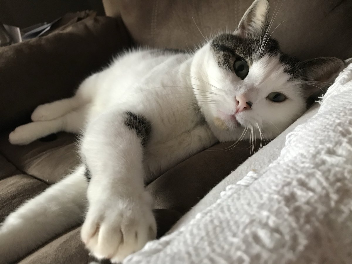 ns4u2sea tweet media