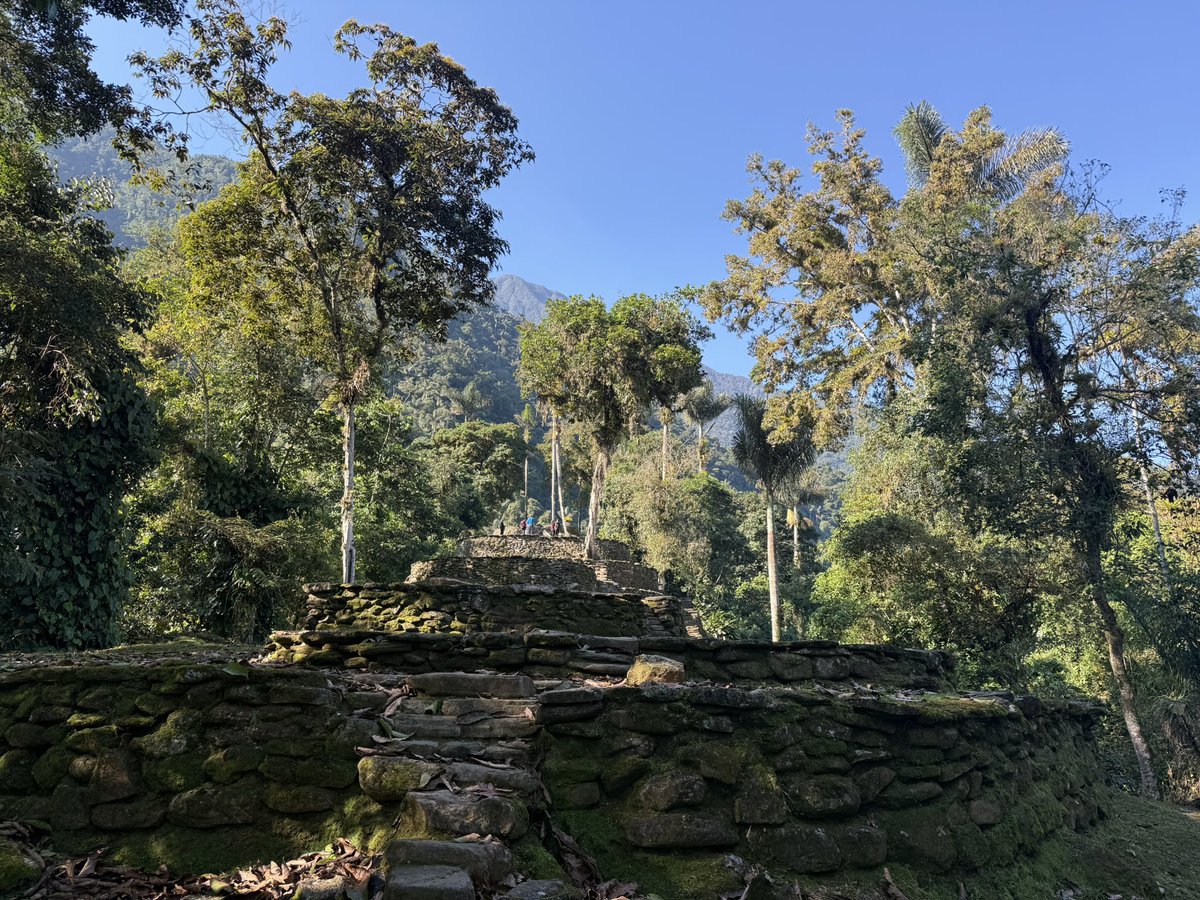 𝗝𝗼𝗻 𝗙𝗹𝗼𝗿𝗲𝘀 tweet media