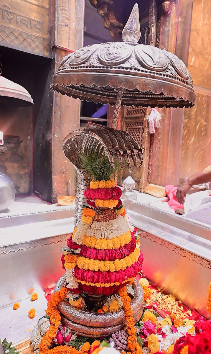 Shri Kashi Vishwanath Temple Trust tweet media