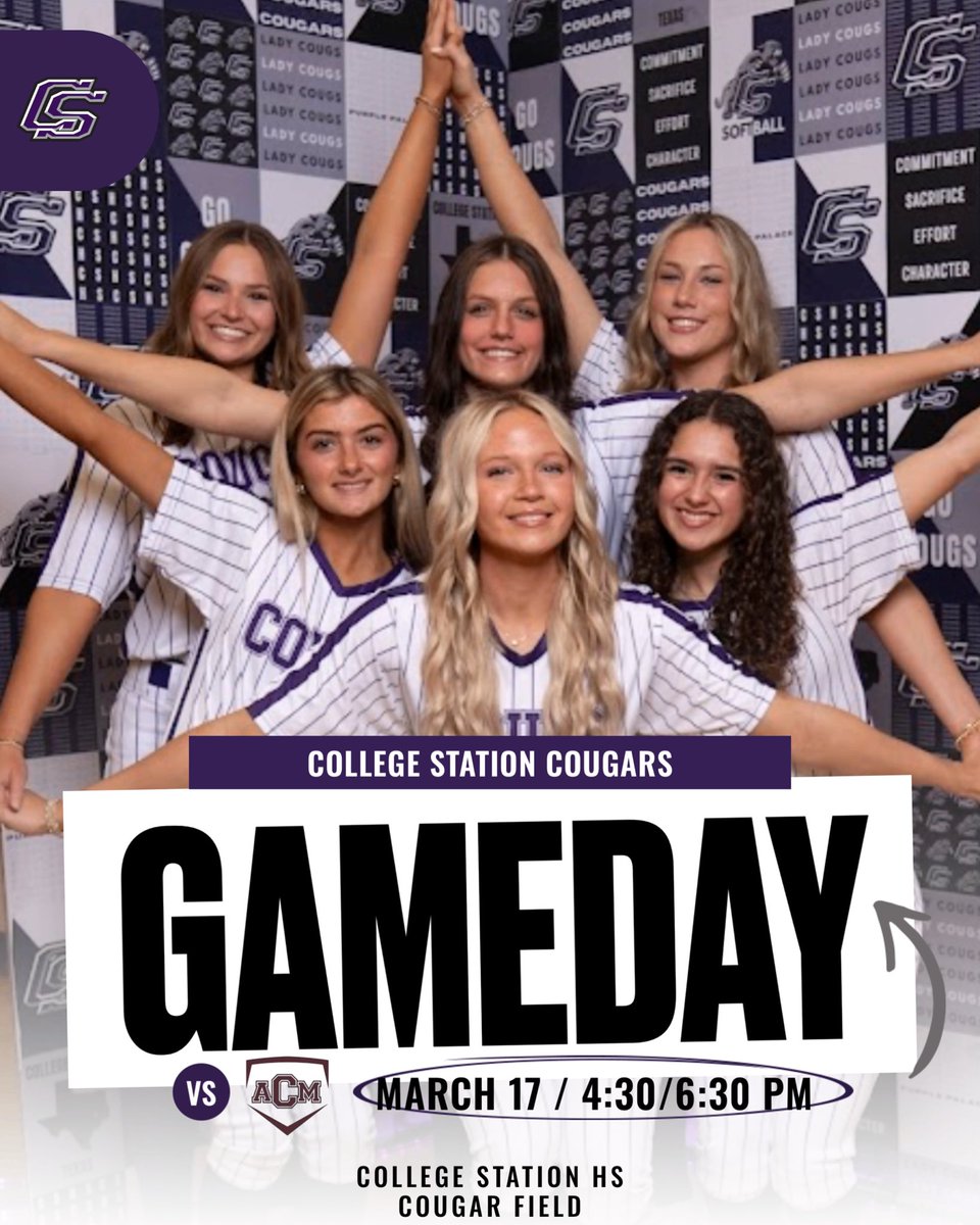 CSHS Softball tweet media