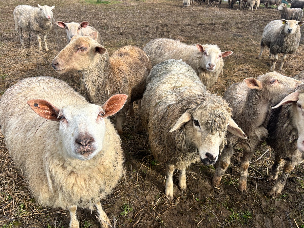 Fondation Brigitte Bardot tweet media