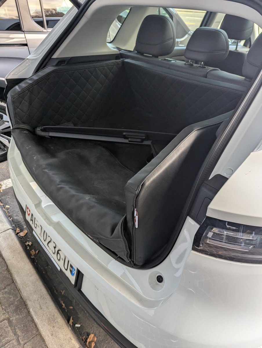 𝔽𝕣𝕒𝕦𝕔𝕙𝕚 tweet media