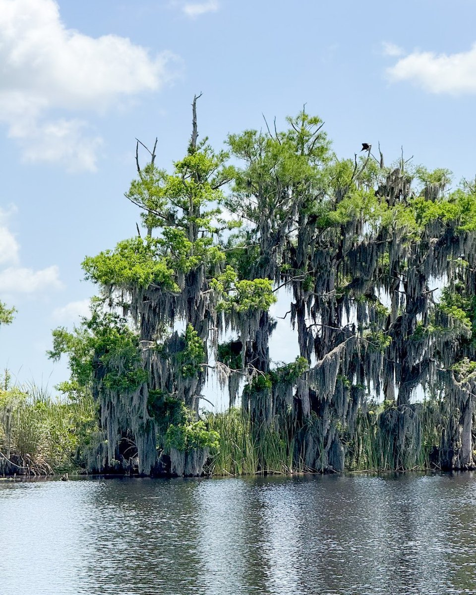 Visit Indian River tweet media