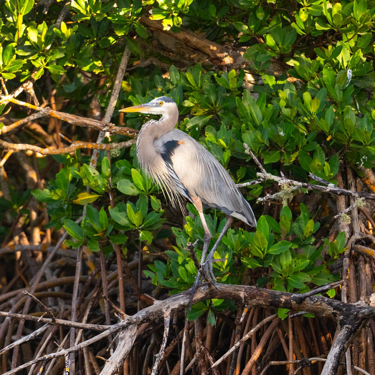 Visit Indian River tweet media