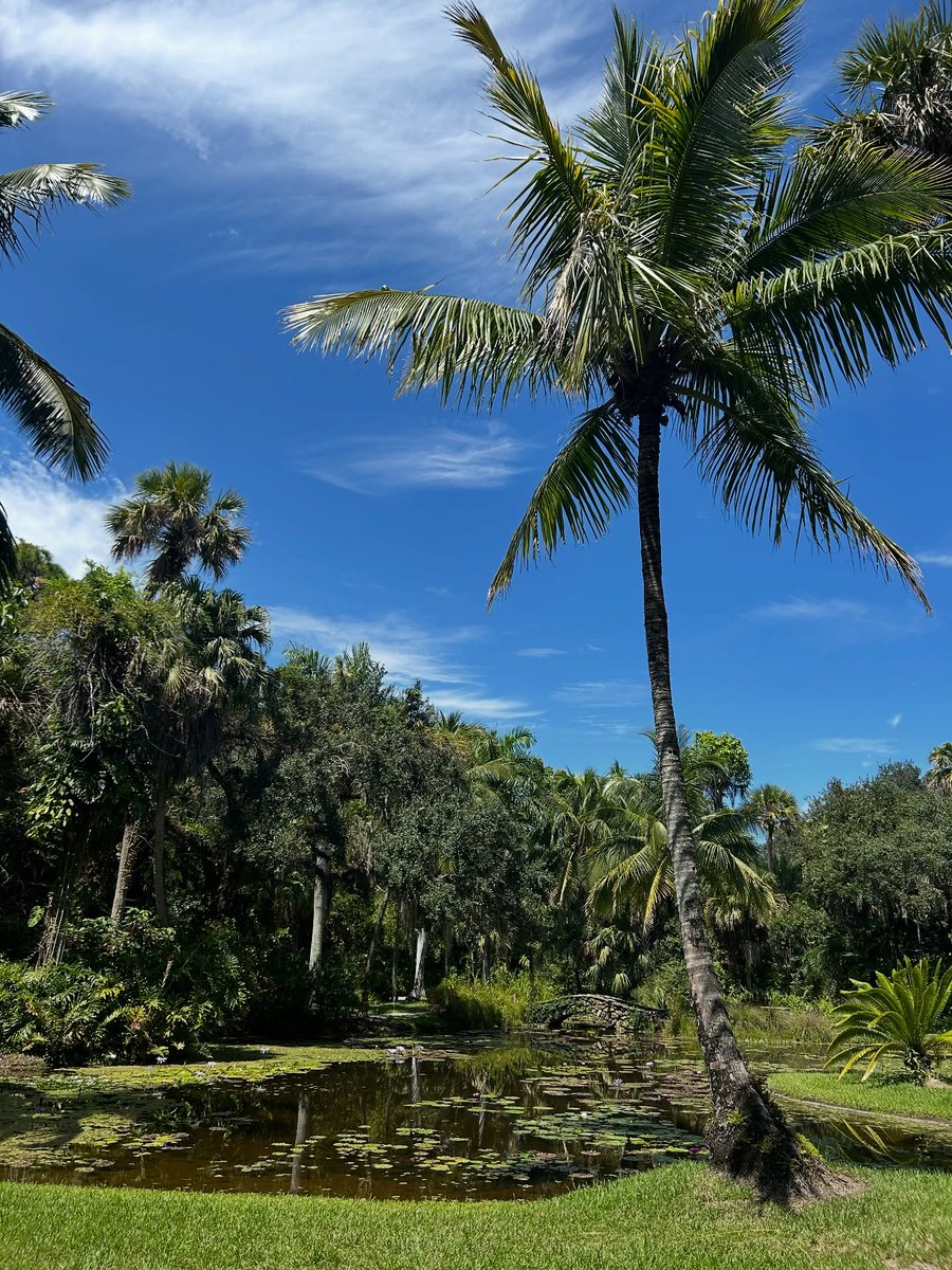 Visit Indian River tweet media