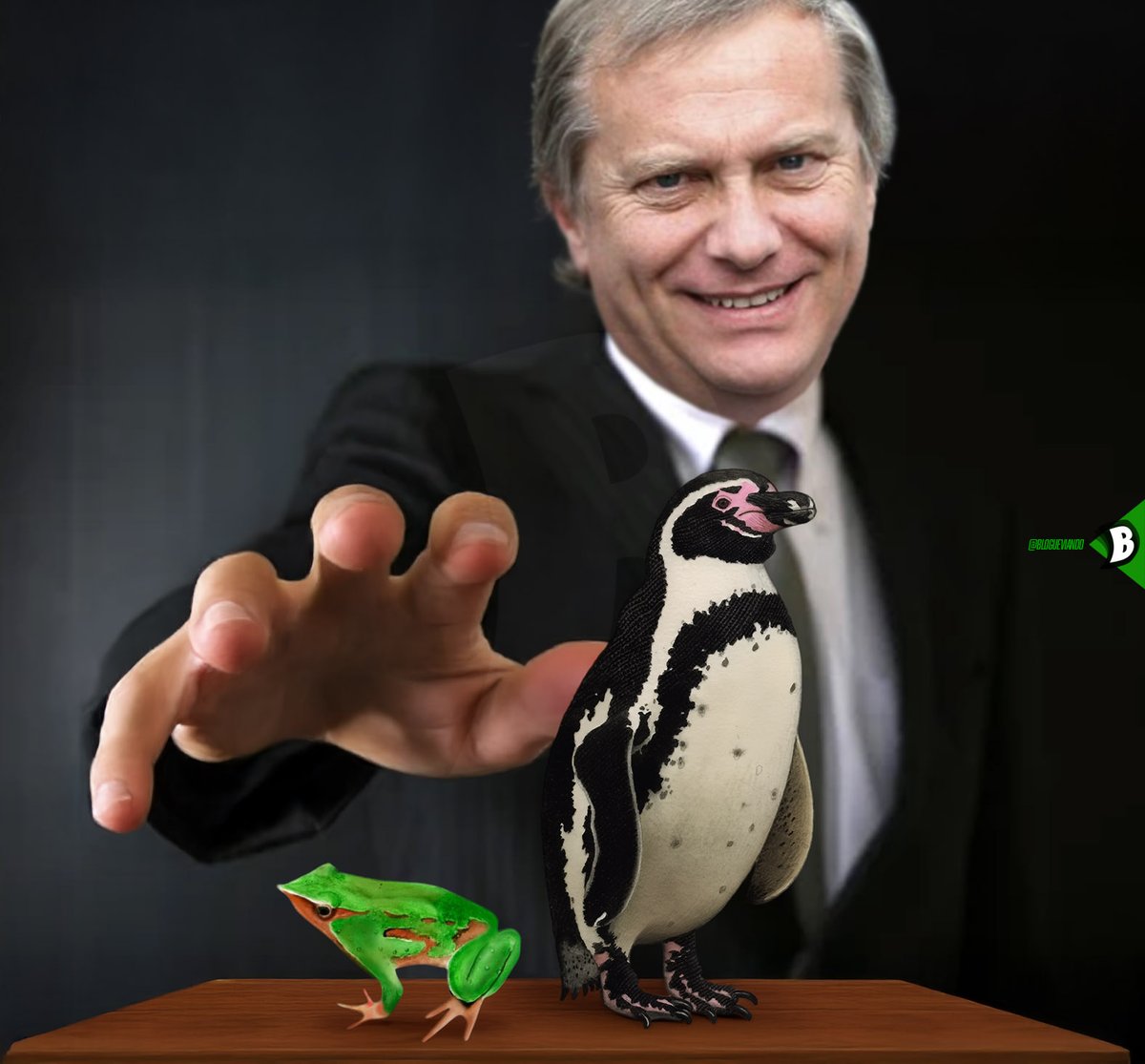 Se te Acabó la Fiesta Ranita de Darwin y Pingüino de Humboldt ...