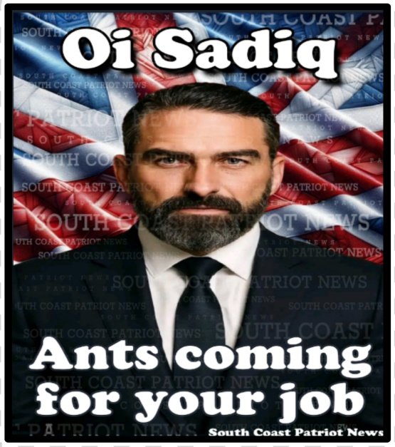 SouthCoastPatriotNews tweet media