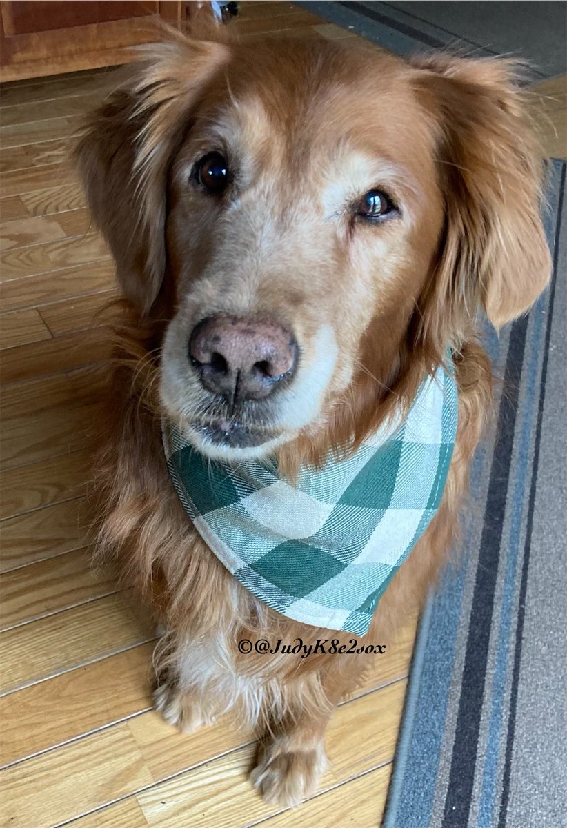 Kate🌈🧡💛 tweet media