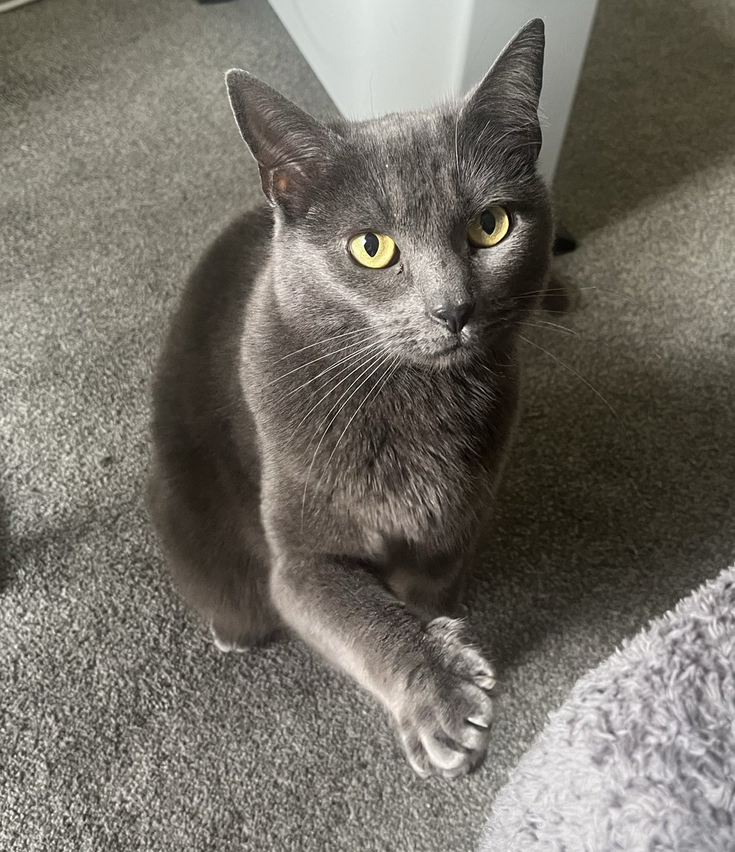 🌸 Evie 🌸 tweet media