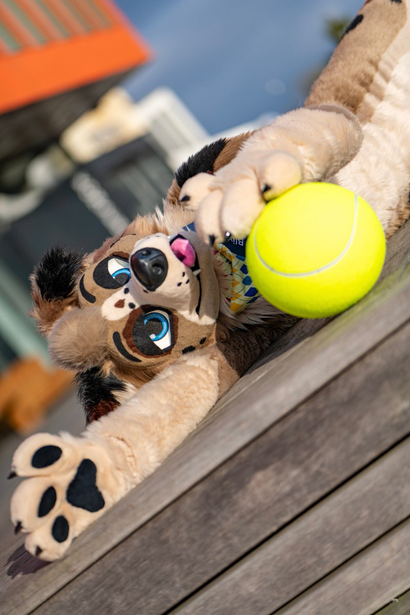 Blix 🎾 tweet media