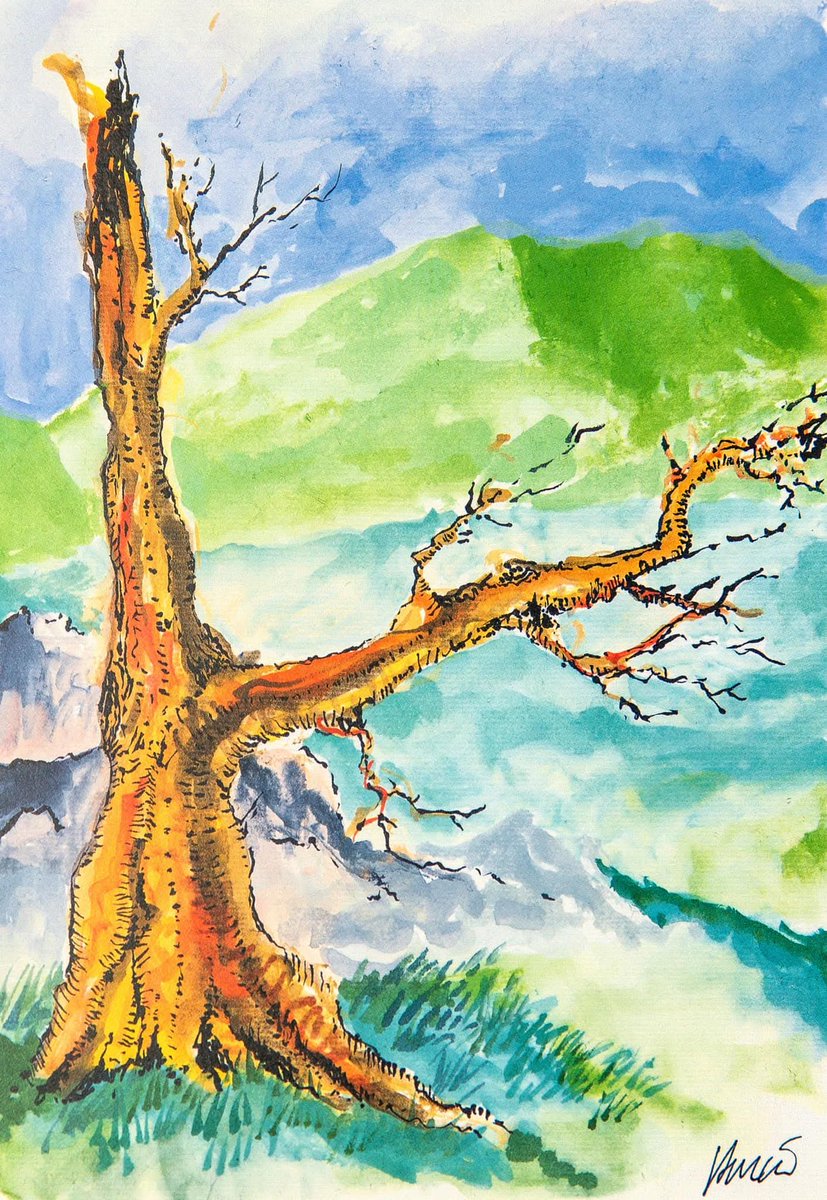 Claudio Skydog tweet media