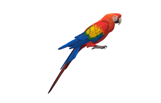 Melissa Williams tweet media