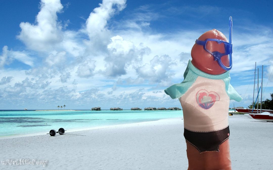 UrLittlePony tweet media