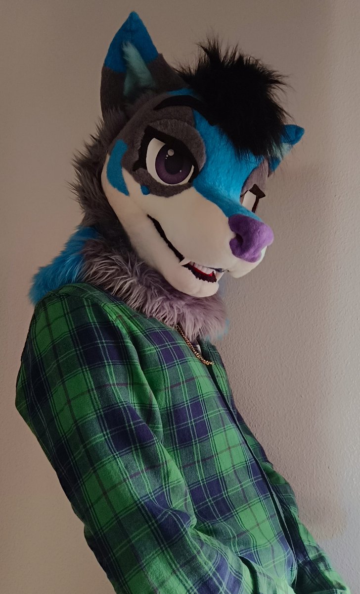 ❄Xinoc the Arctic Foxxo❄ 🔜Ibercon / Furizon tweet media