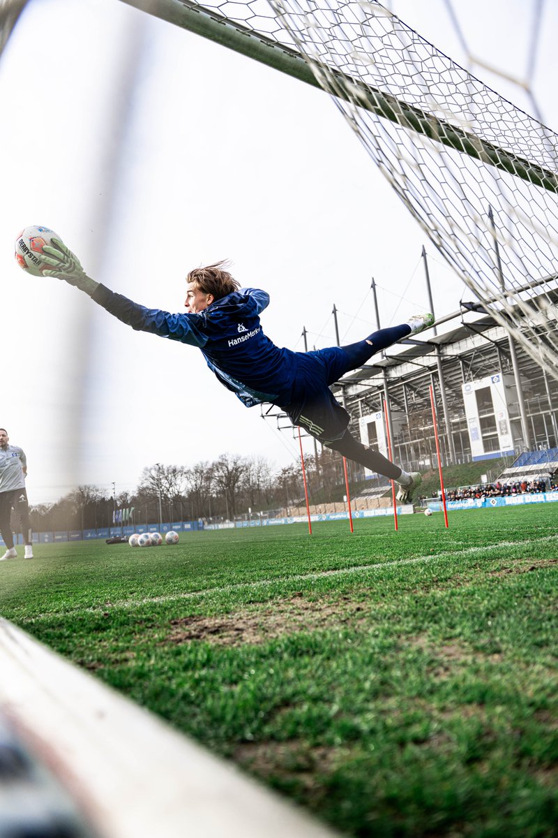 HSV English tweet media