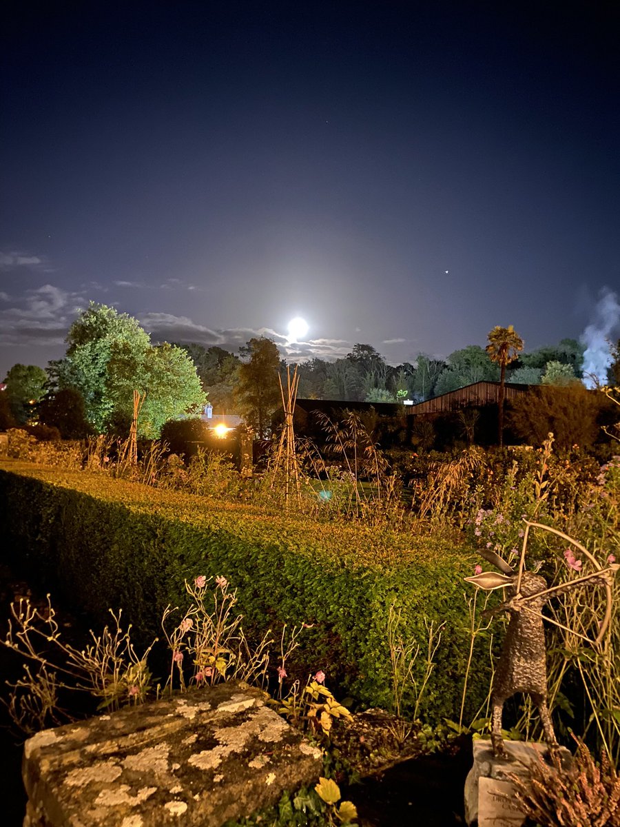 Selecta Jerry tweet media