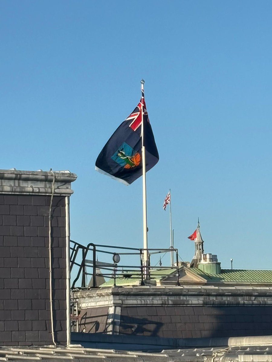 Alison Kemp tweet media