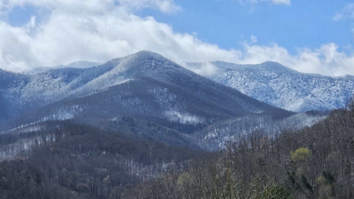 Pleas Proffitt tweet media