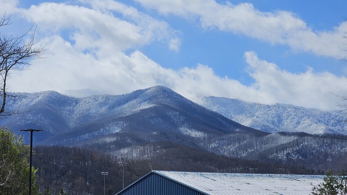 Pleas Proffitt tweet media