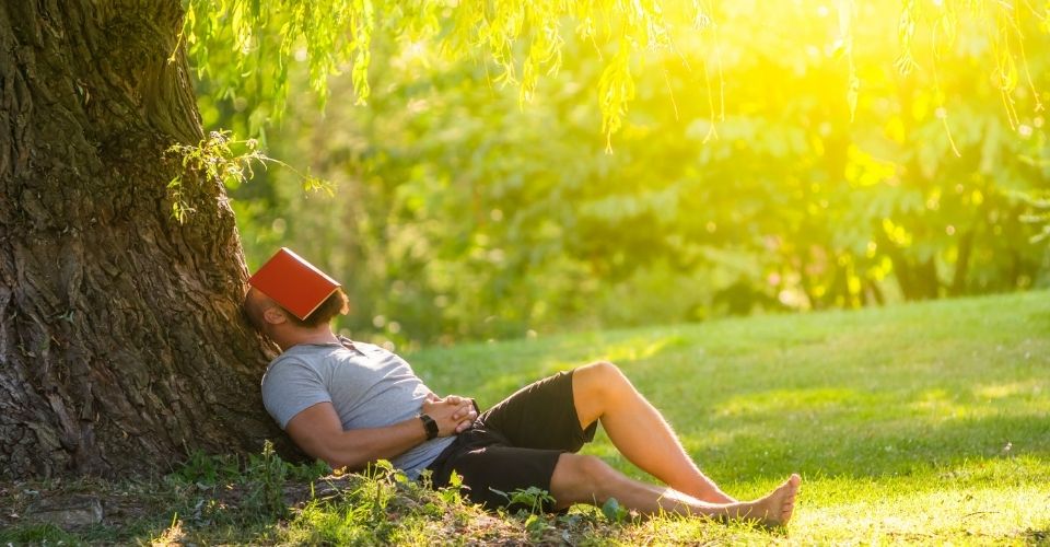 White Panther tweet media