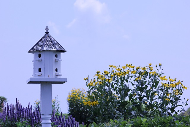 Valerie Voges tweet media