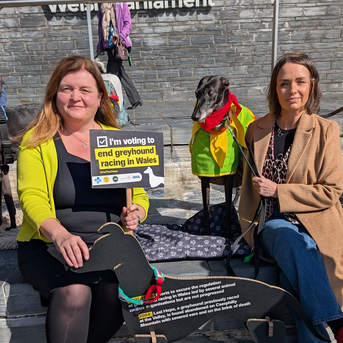 Sioned Williams AS/MS 🏴󠁧󠁢󠁷󠁬󠁳󠁿 tweet media