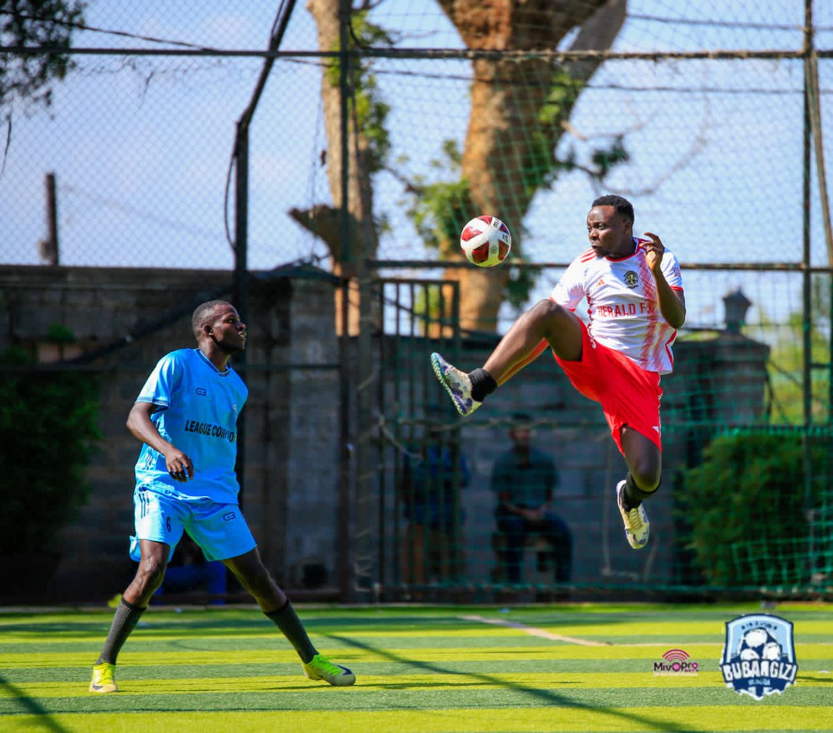 BUBZ League tweet media