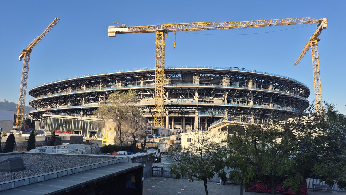 Lee at NFTV tweet media