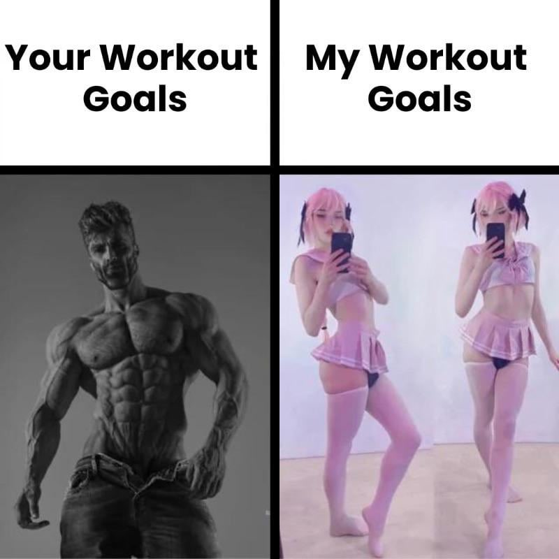 Elspith the Dreamer tweet media