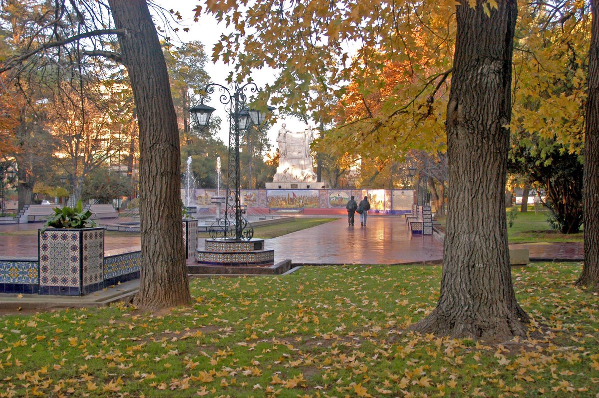 Ulpiano Suarez tweet media