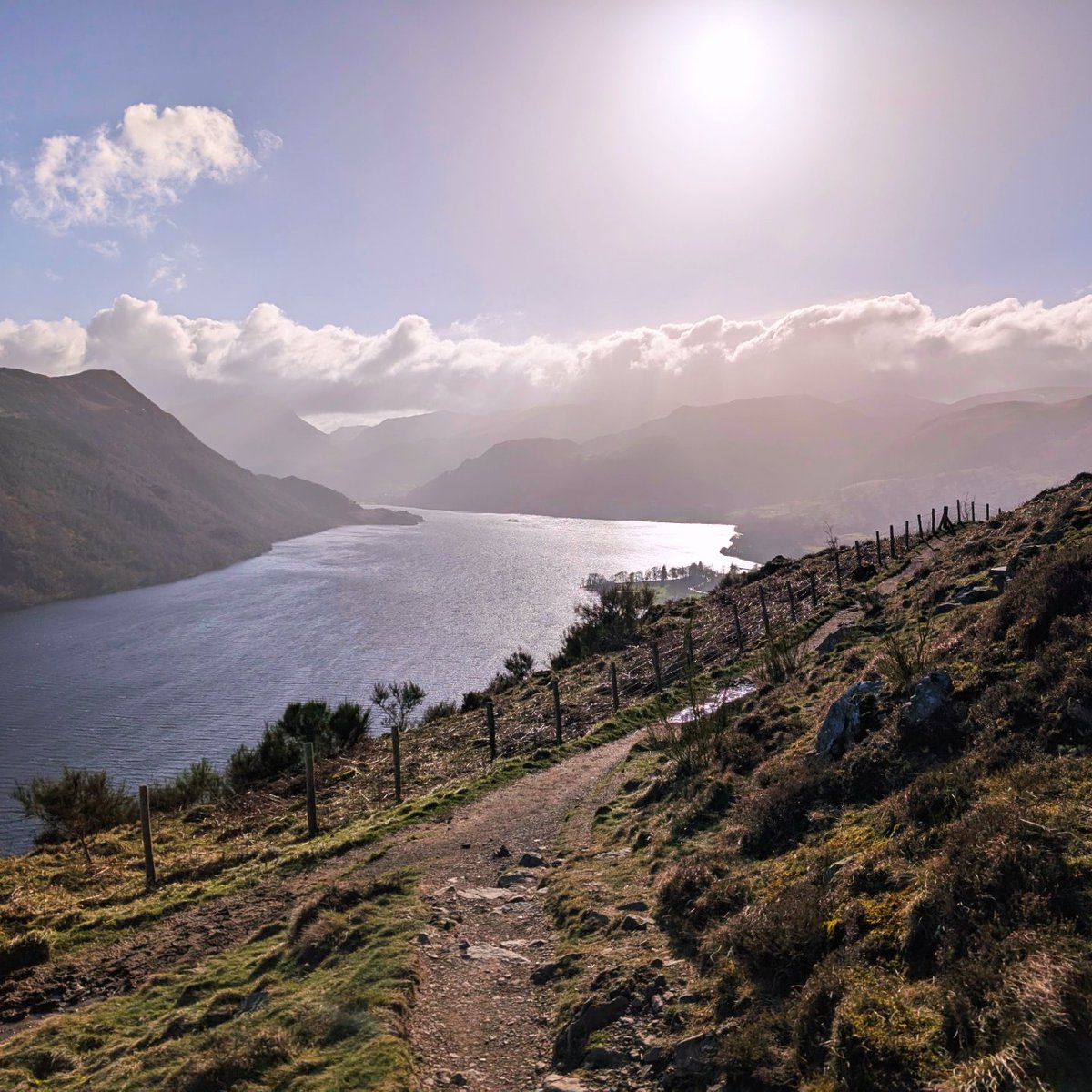 LakesPaul tweet media