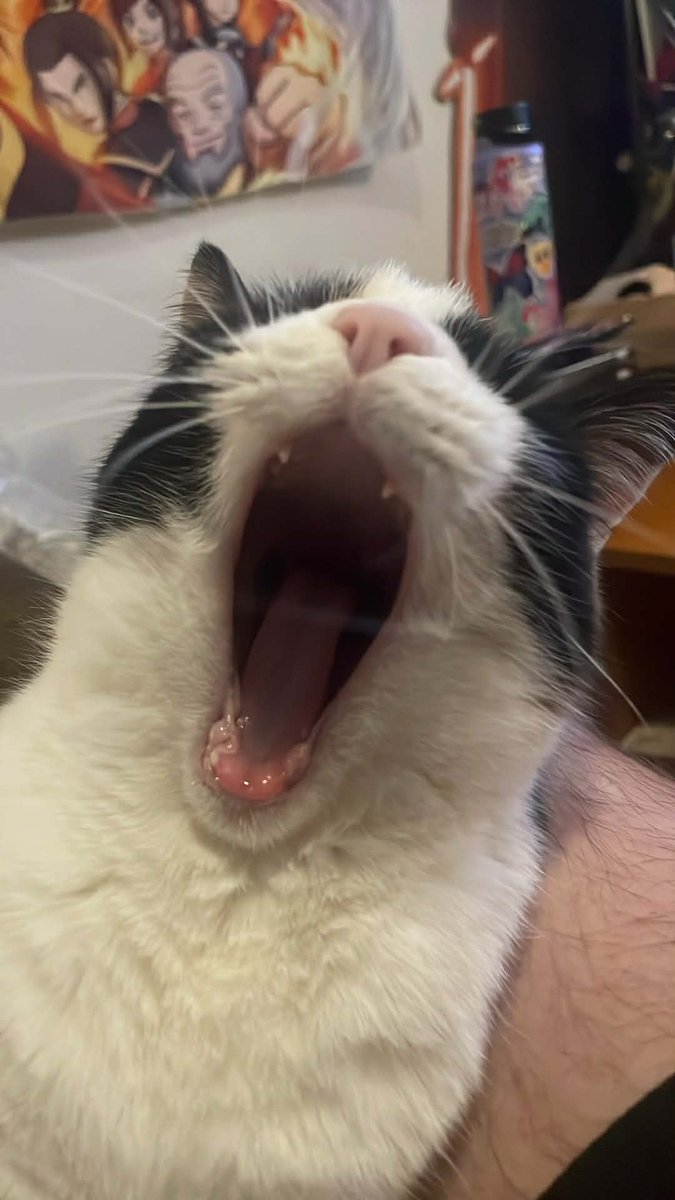 🩵💙ColorSplash💙🩵 tweet media