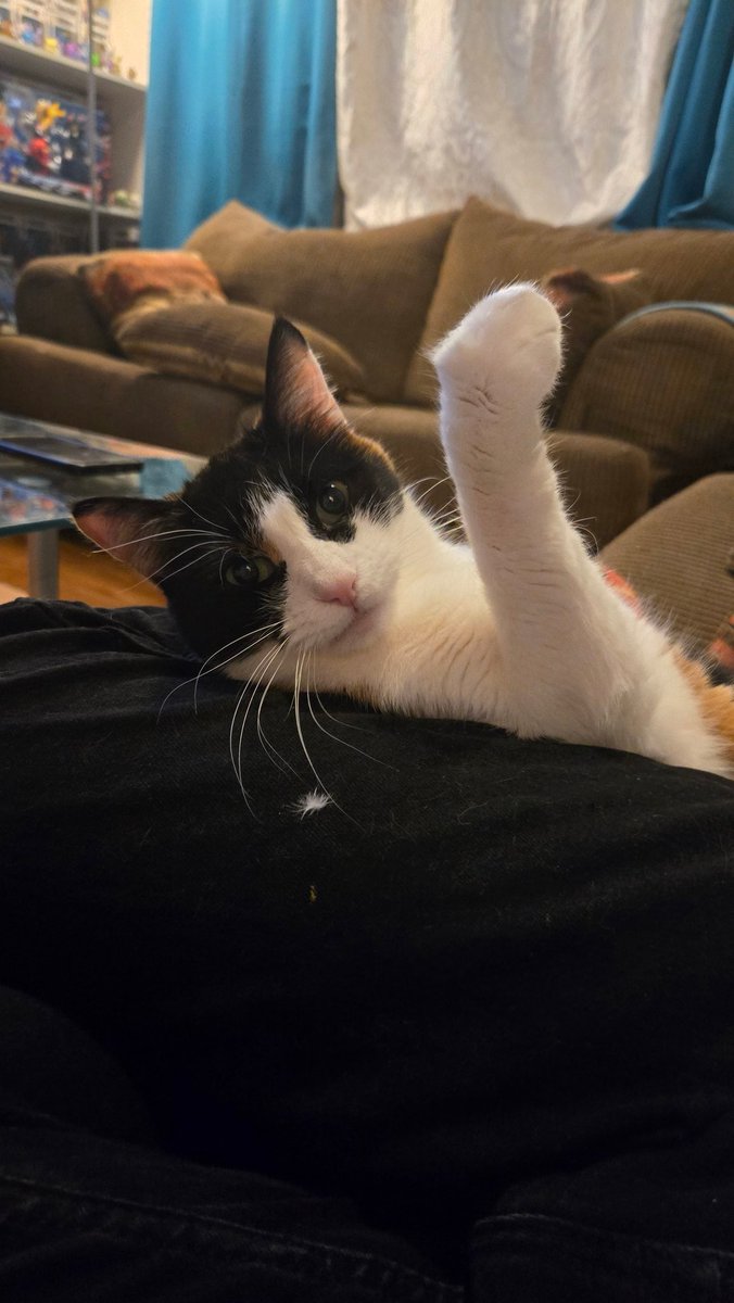 🩵💙ColorSplash💙🩵 tweet media