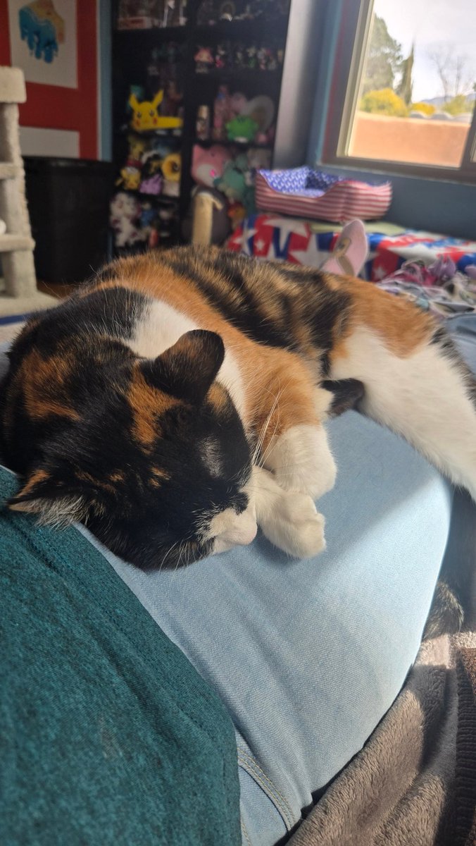 🩵💙ColorSplash💙🩵 tweet media