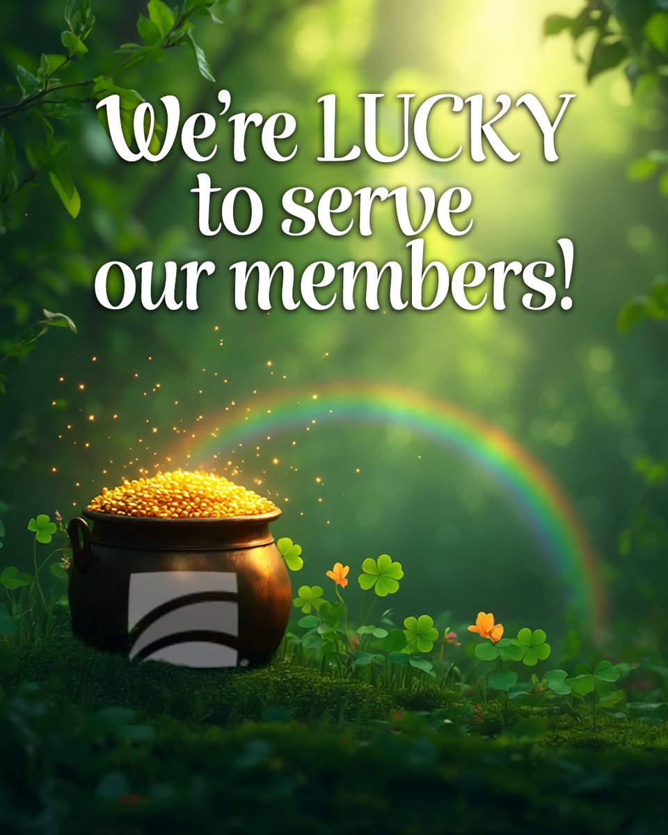 USF Credit Union tweet media