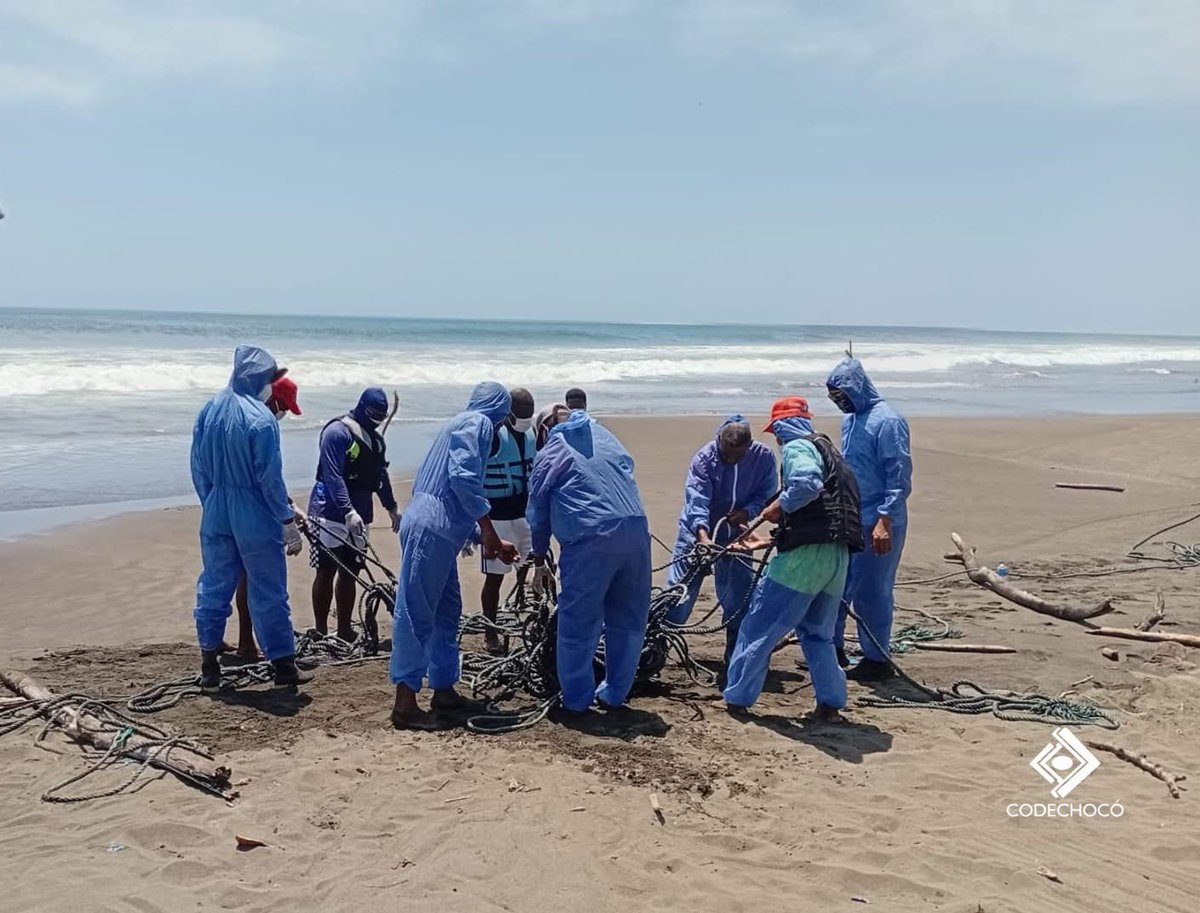 CODECHOCÓ tweet media