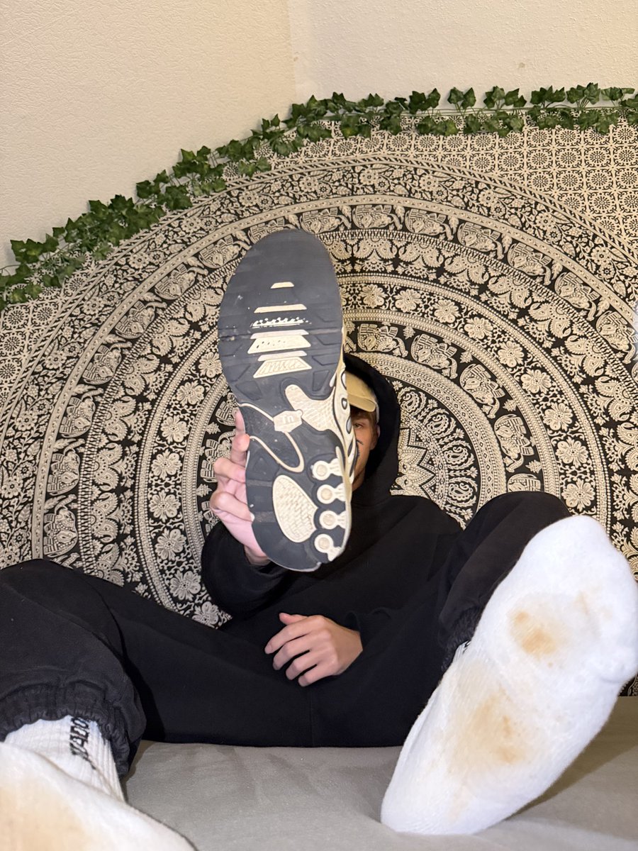 Finmaster tweet media