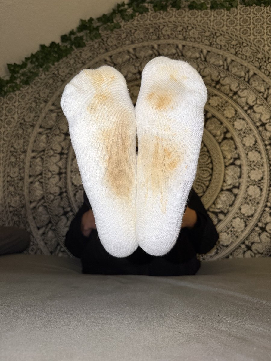 Finmaster tweet media