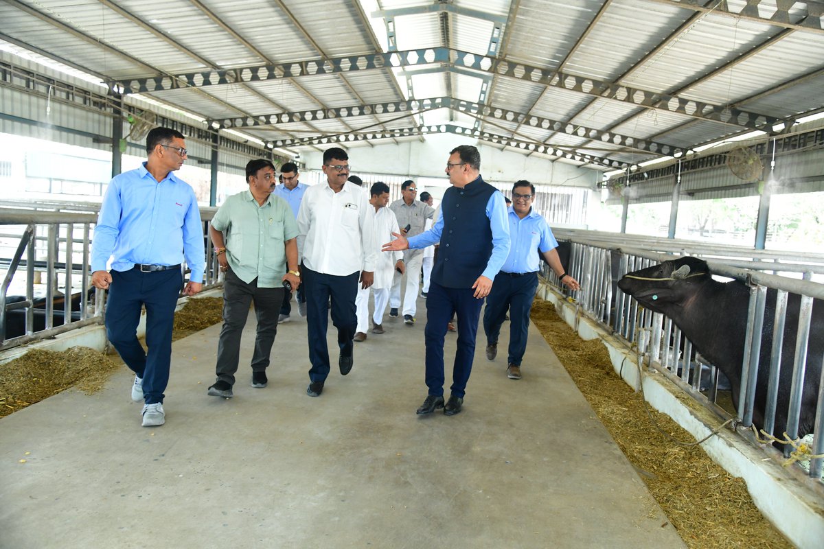 Amul Dairy tweet media