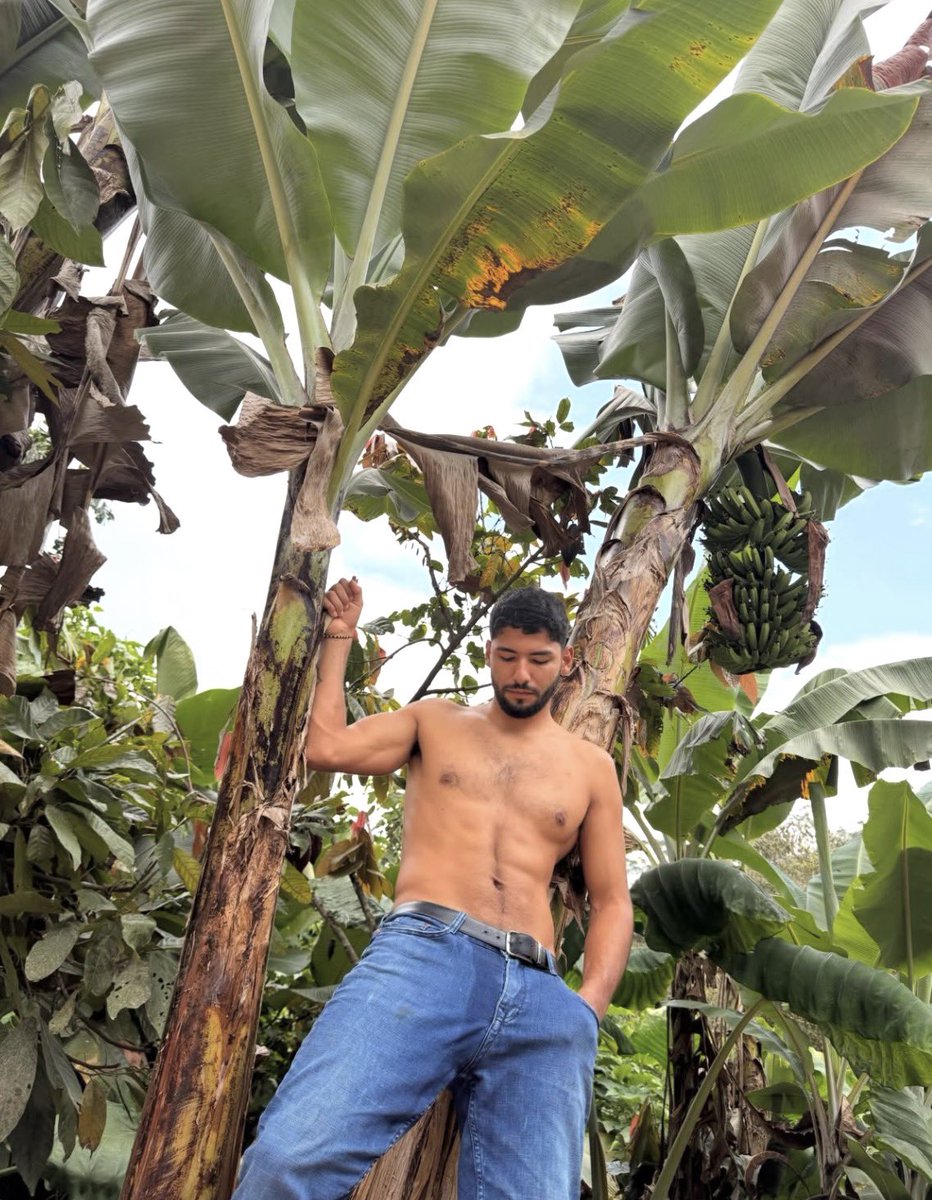 Maximo ortiz tweet media