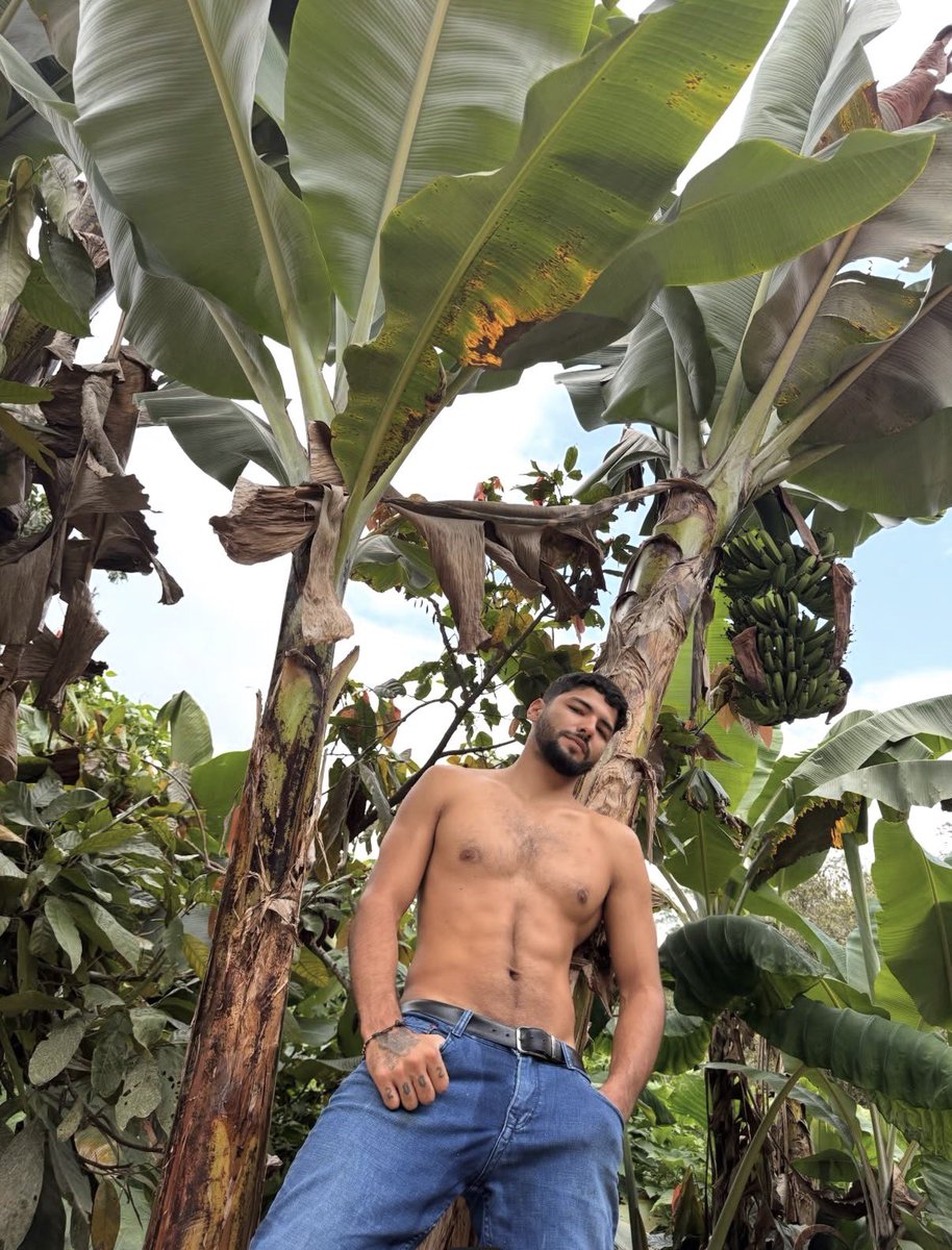 Maximo ortiz tweet media